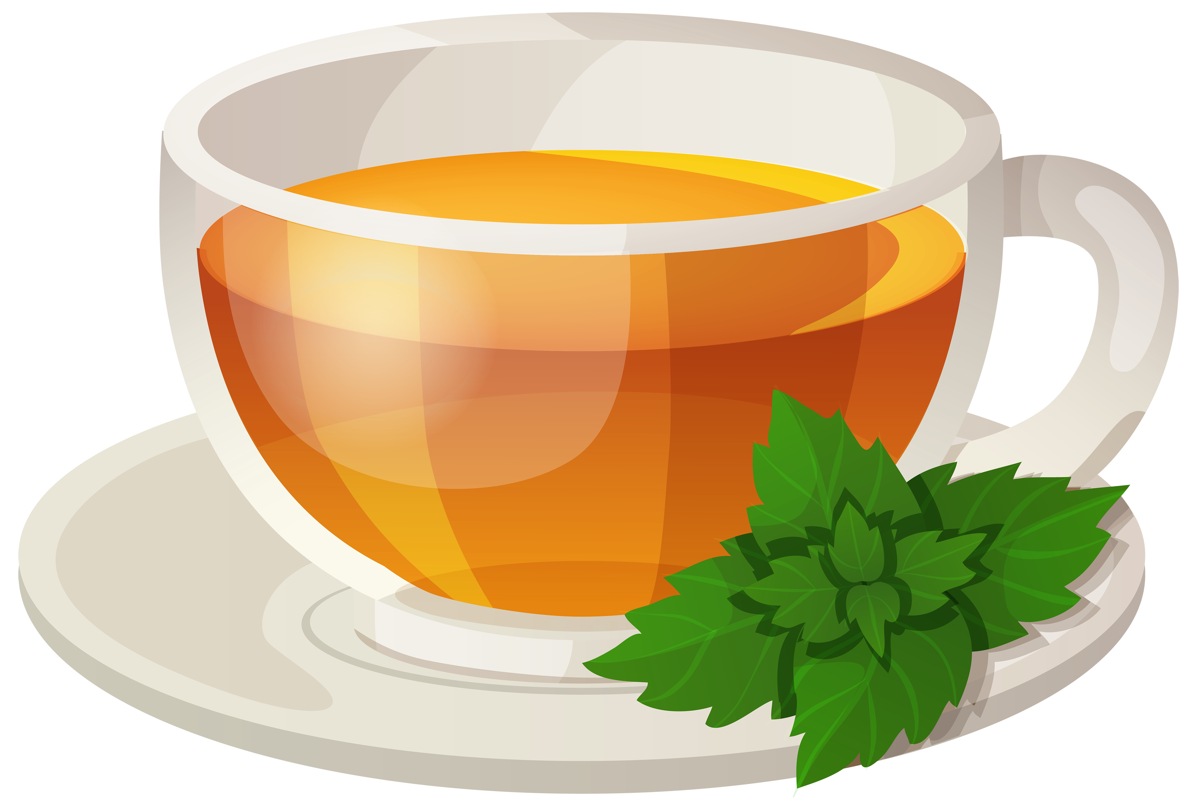 Cup of Mint Tea